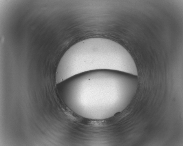 X0000068740089200604281027