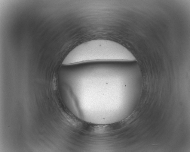 X0000068740090200604281027