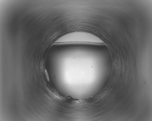 X0000068740092200604281027