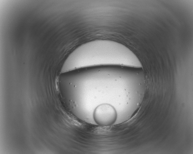 X0000068740094200604281027