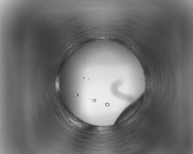 X0000068740095200604281027