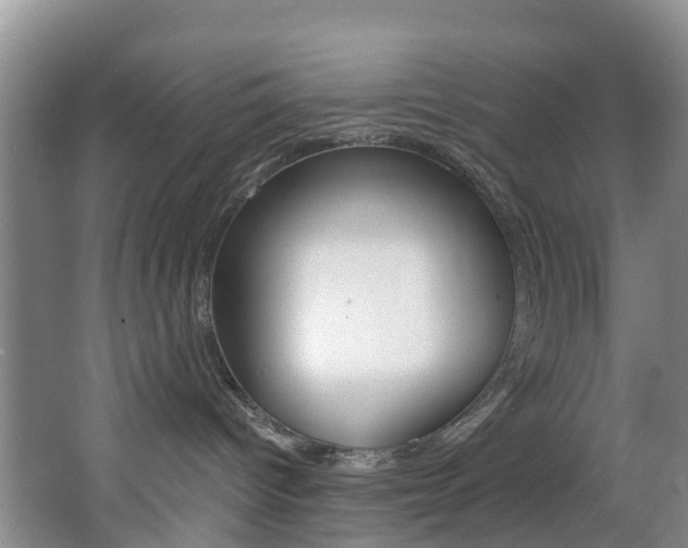 X0000068740096200604281027