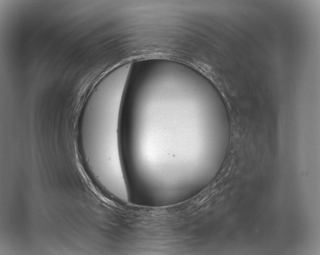 X0000068740097200604281026