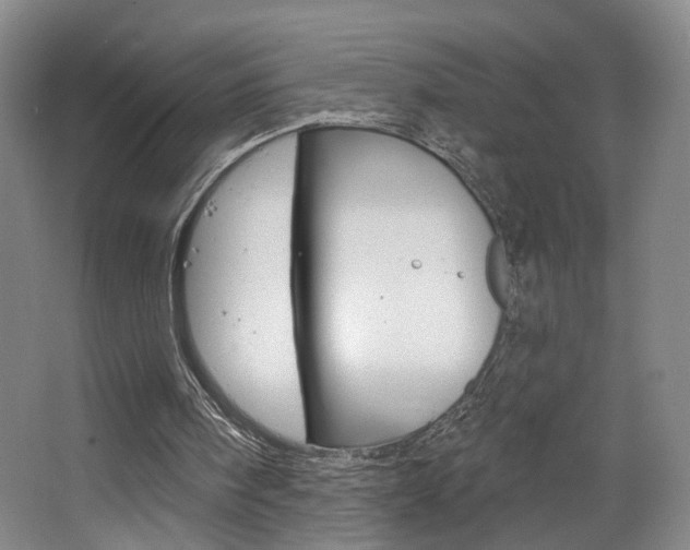 X0000068740098200604281026