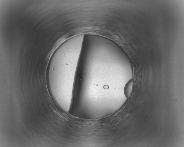 X0000068740099200604281026