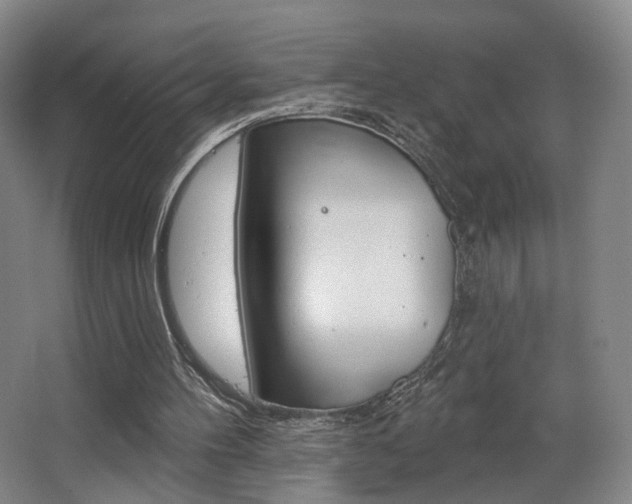 X0000068740100200604281026