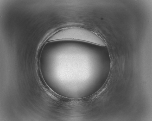 X0000068740101200604281026