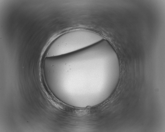 X0000068740102200604281026