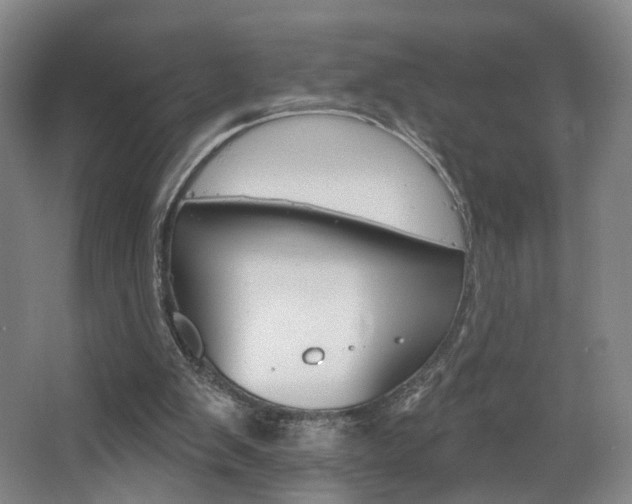 X0000068740103200604281026