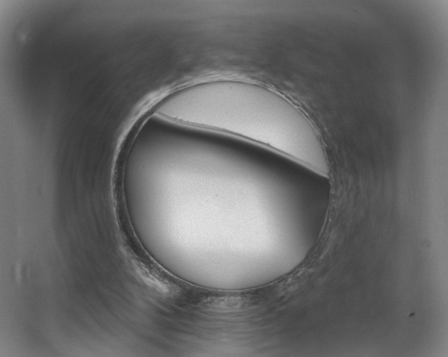 X0000068740104200604281026