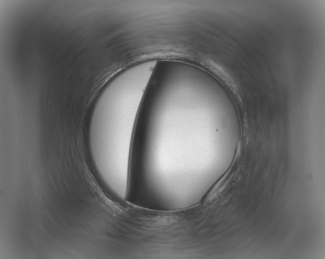 X0000068740105200604281026