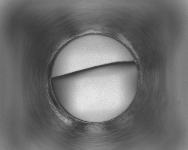 X0000068740106200604281026