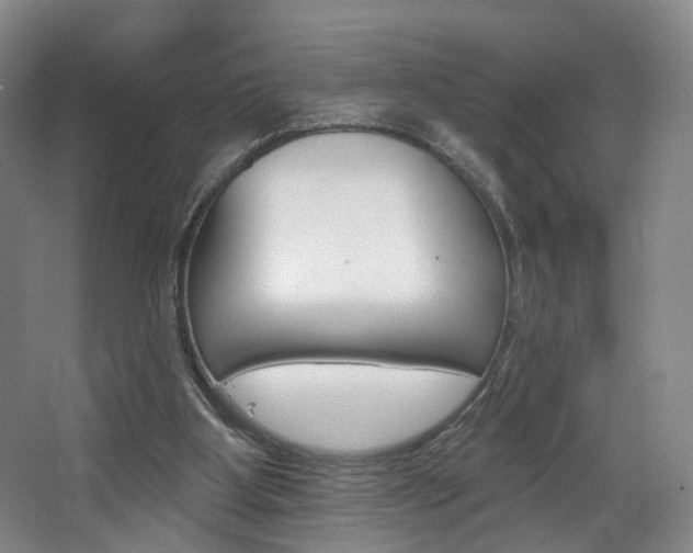 X0000068740107200604281026