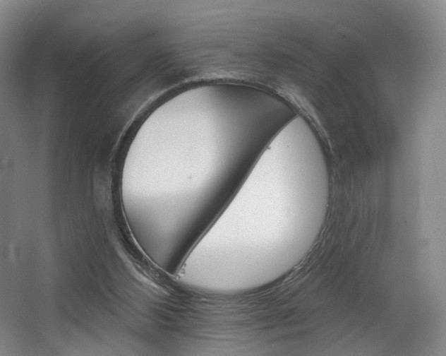 X0000068740108200604281026