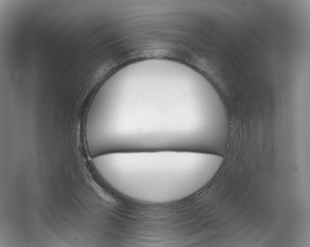 X0000068740110200604281026