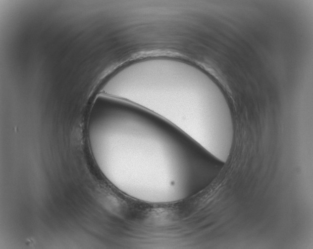 X0000068740111200604281026