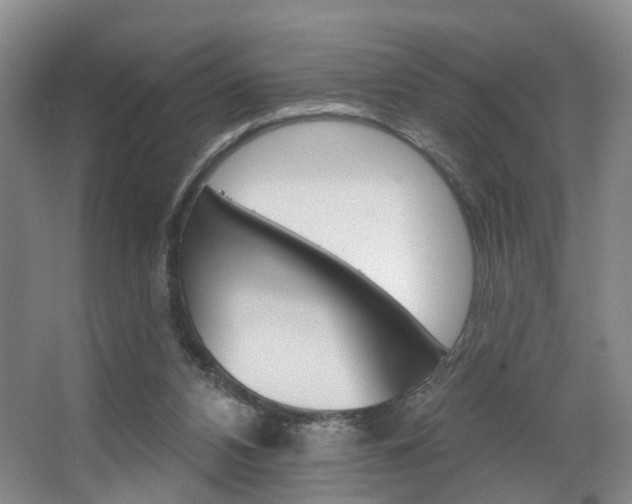 X0000068740112200604281026