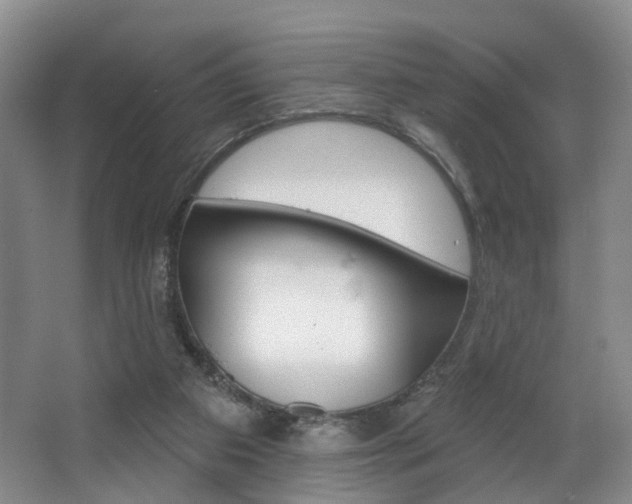 X0000068740113200604281026