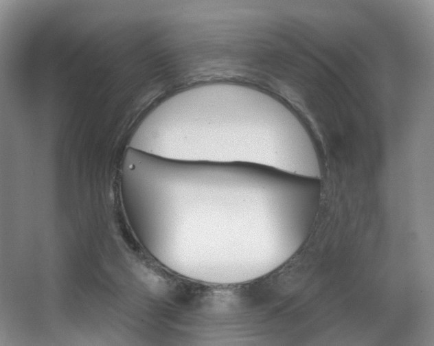 X0000068740114200604281026