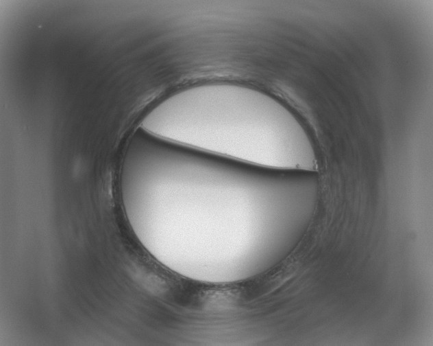 X0000068740115200604281026