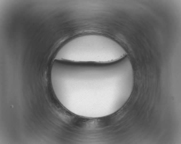 X0000068740116200604281026