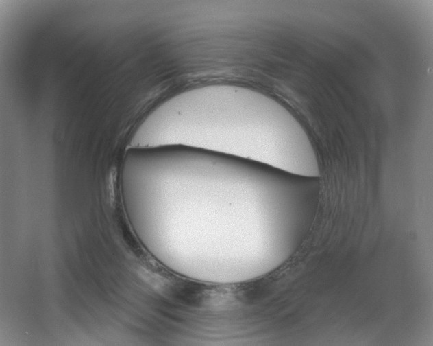 X0000068740118200604281026