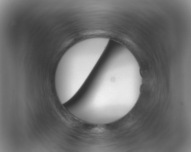 X0000068740119200604281026