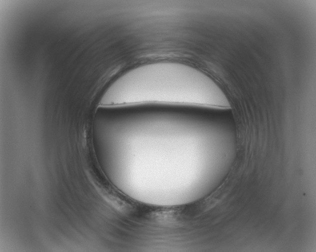 X0000068740120200604281026