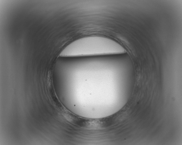 X0000068740121200604281026