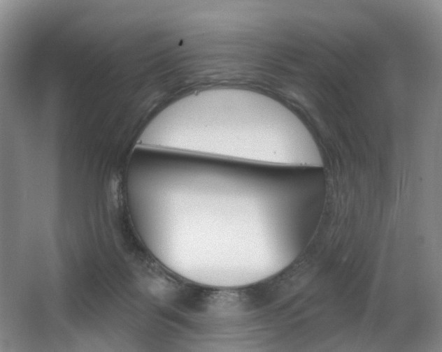 X0000068740123200604281026