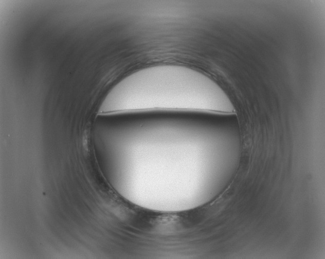 X0000068740124200604281026