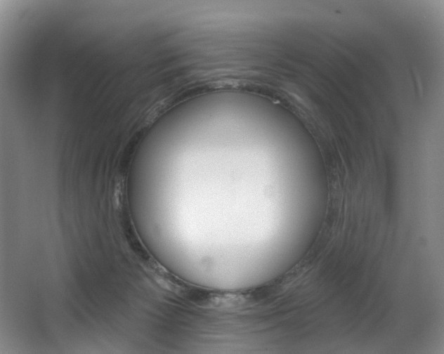 X0000068740125200604281026