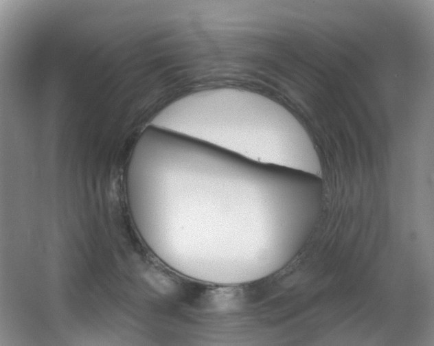 X0000068740126200604281026