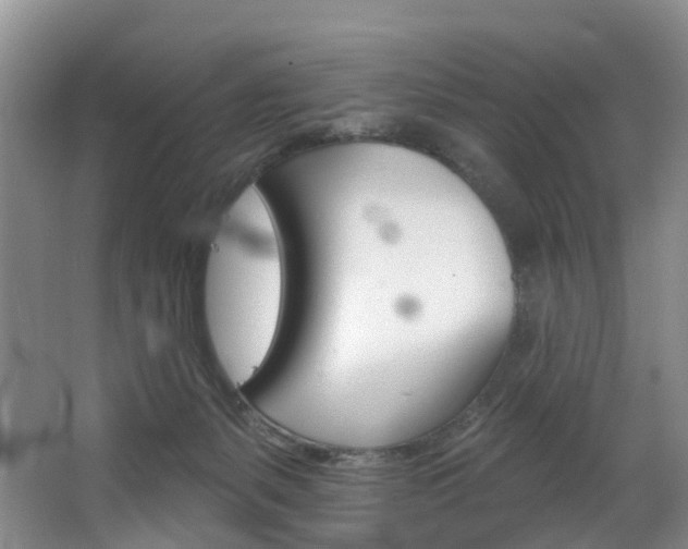 X0000068740127200604281026