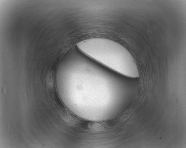 X0000068740129200604281026