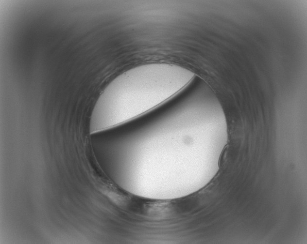 X0000068740132200604281026