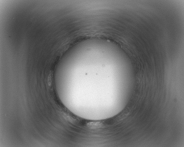 X0000068740133200604281026