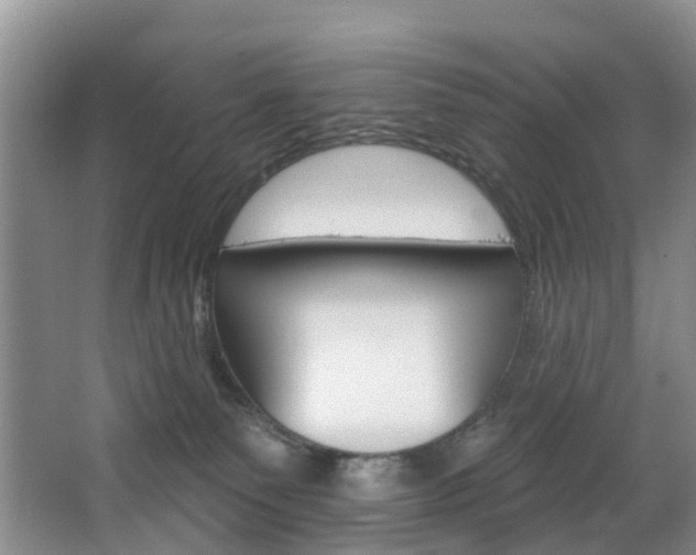 X0000068740135200604281026