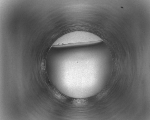 X0000068740137200604281026