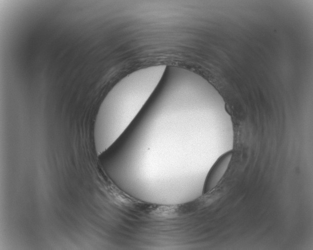 X0000068740138200604281026