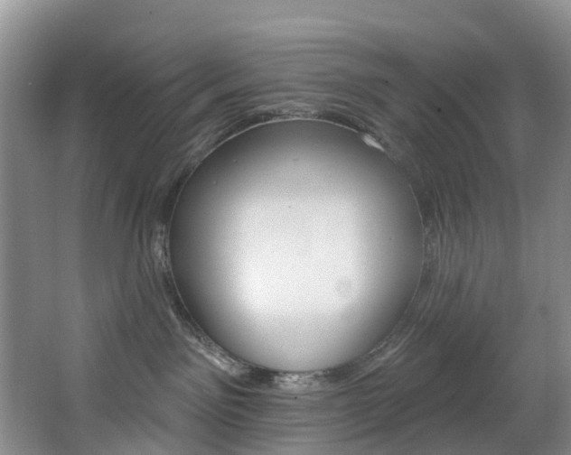 X0000068740141200604281026