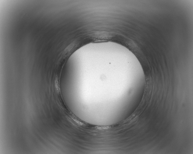 X0000068740143200604281026