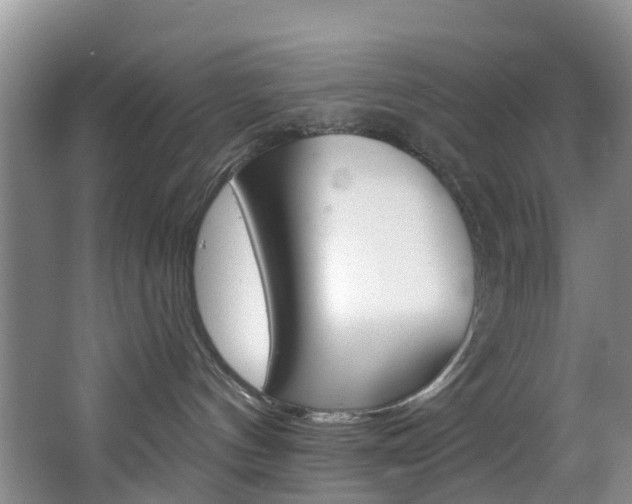 X0000068740144200604281026