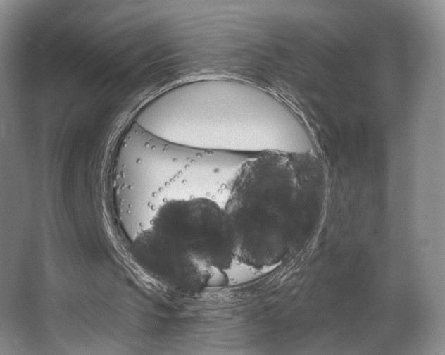 X0000068740145200604281025