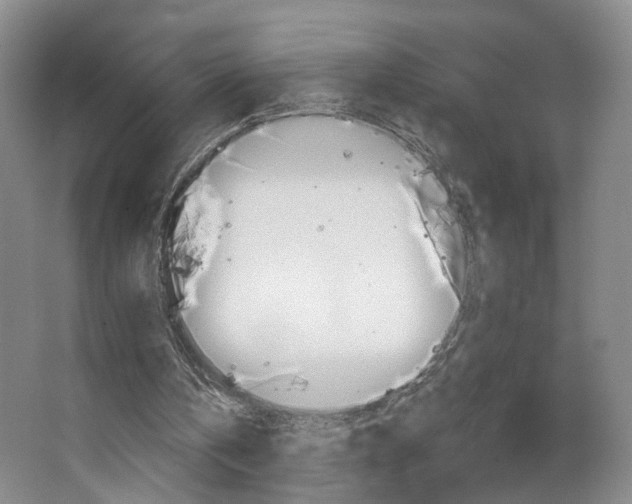 X0000068740146200604281025