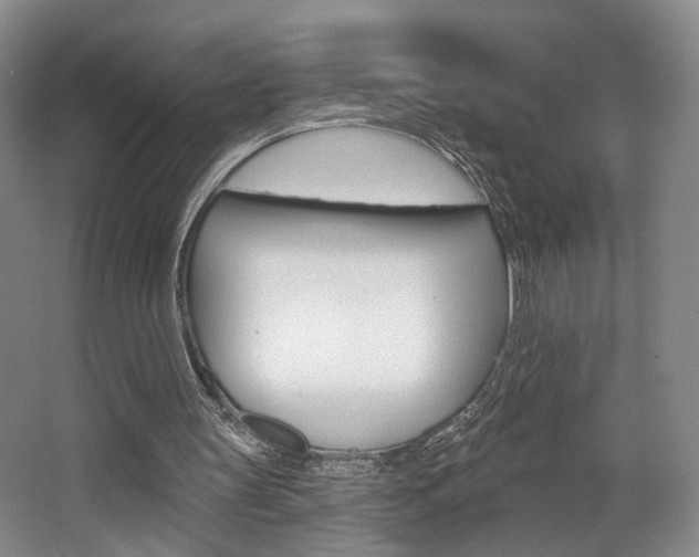 X0000068740147200604281025