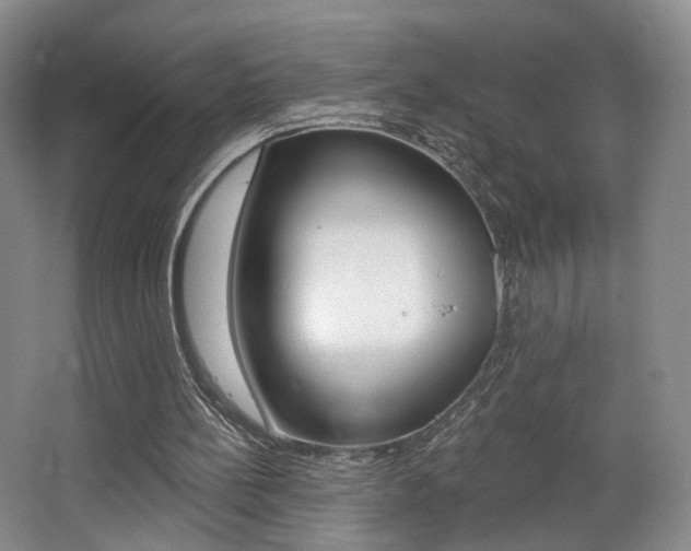 X0000068740148200604281025