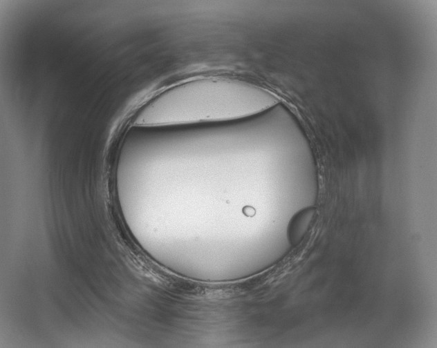 X0000068740149200604281025