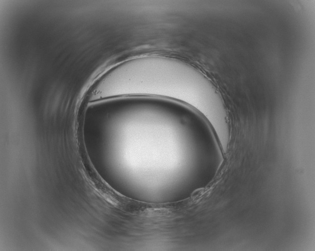 X0000068740150200604281025