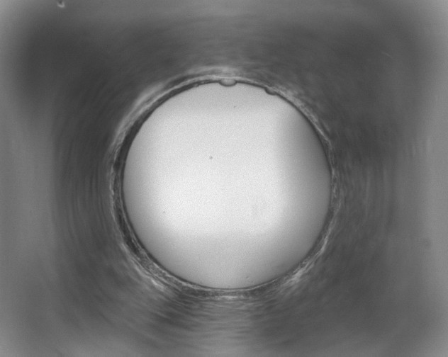 X0000068740151200604281025